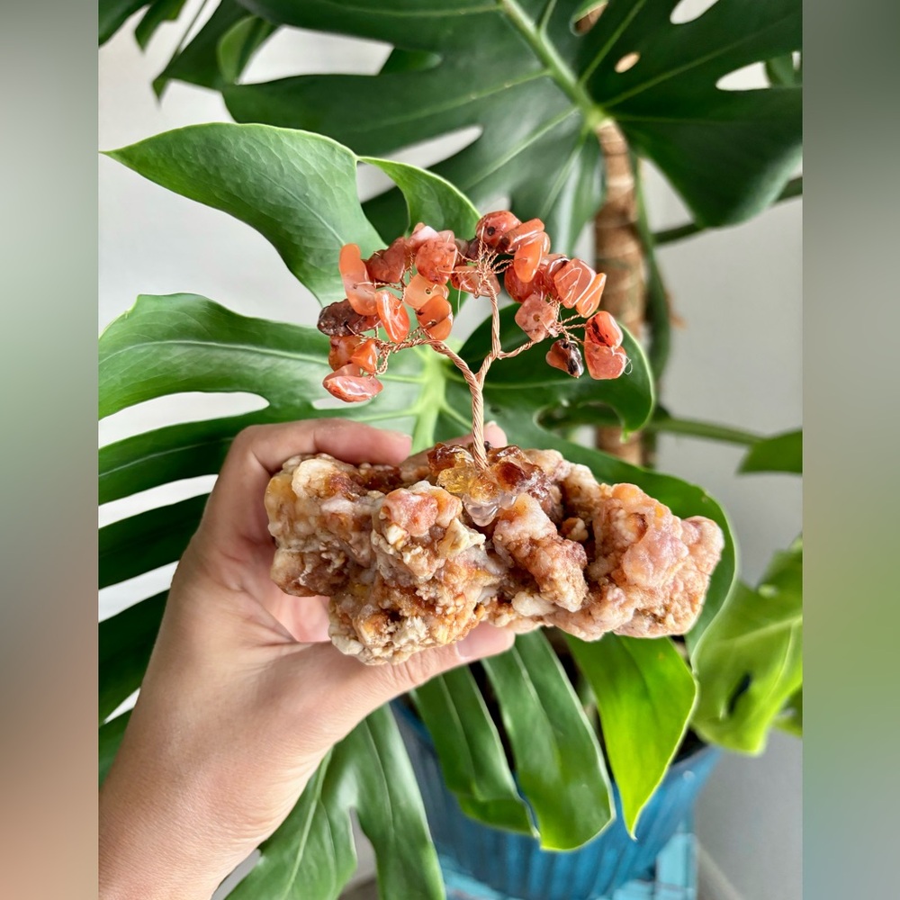 Carnelian Tree on Chalcedony
